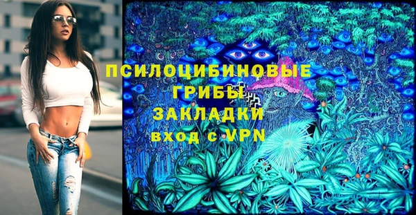 бошки Семилуки