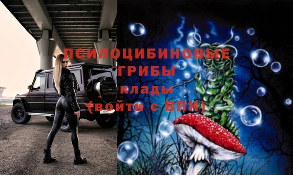 бошки Семилуки